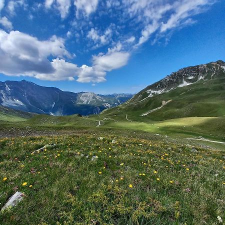 Les Campanules Daire Bourg-Saint-Maurice Dış mekan fotoğraf