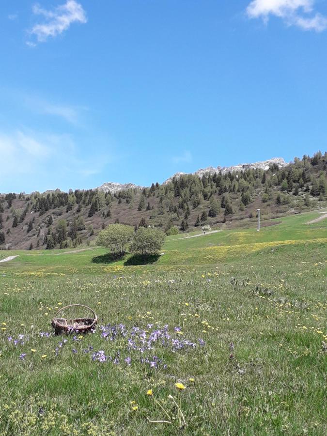 Les Campanules Daire Bourg-Saint-Maurice Dış mekan fotoğraf