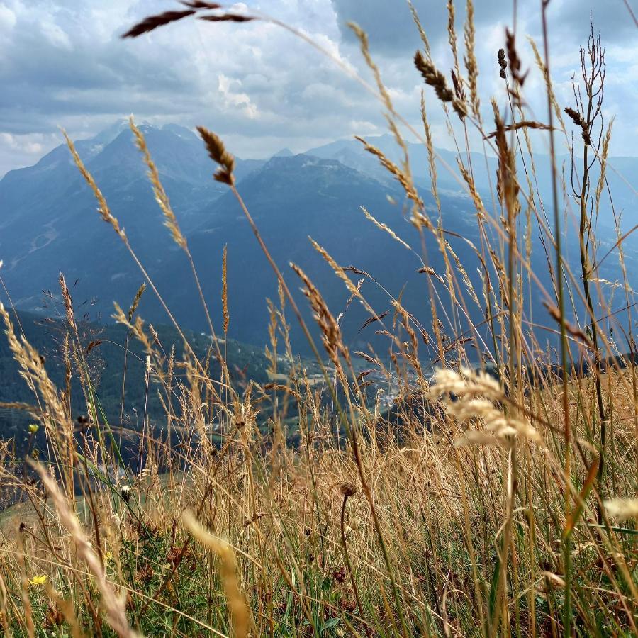 Les Campanules Daire Bourg-Saint-Maurice Dış mekan fotoğraf